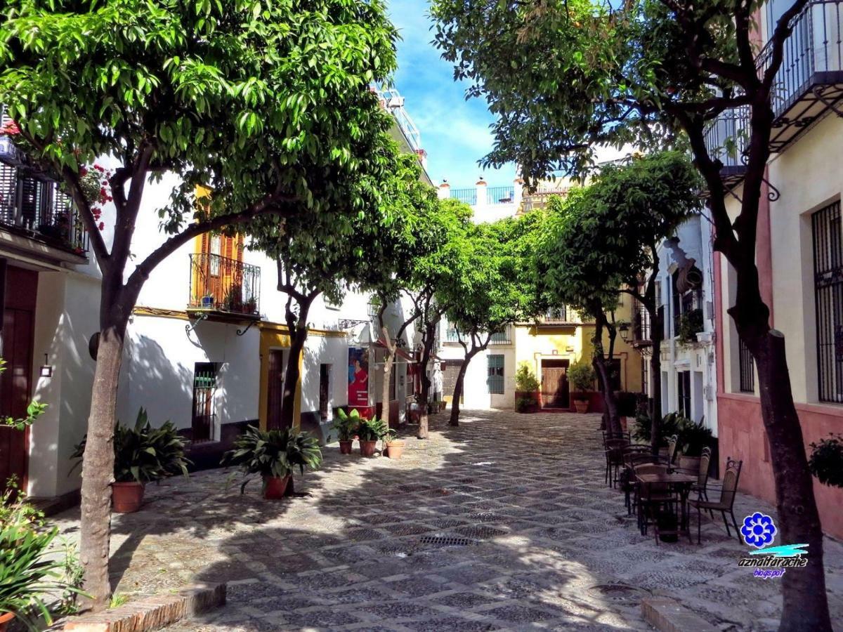 Wish Suite Juderia De Sevilla Ngoại thất bức ảnh