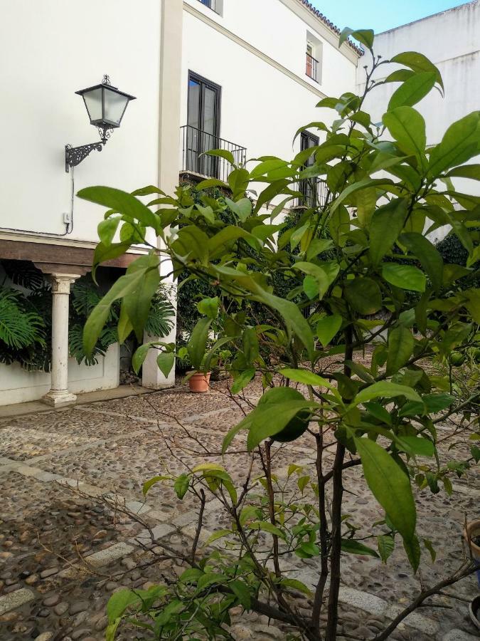 Wish Suite Juderia De Sevilla Ngoại thất bức ảnh