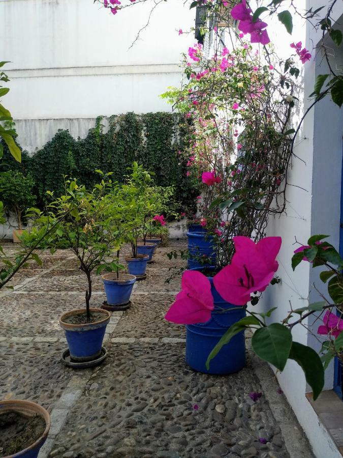 Wish Suite Juderia De Sevilla Ngoại thất bức ảnh
